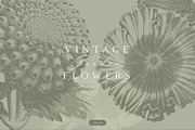 Vintage Bundle 2500+ Free Update, an Animal Illustration by Retro Machine (Thumbnail 52 of 170)