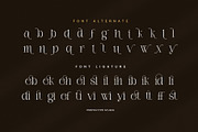 Daily Ramide Serif Font, a Serif Font by Perfectype (Thumbnail 8 of 8)