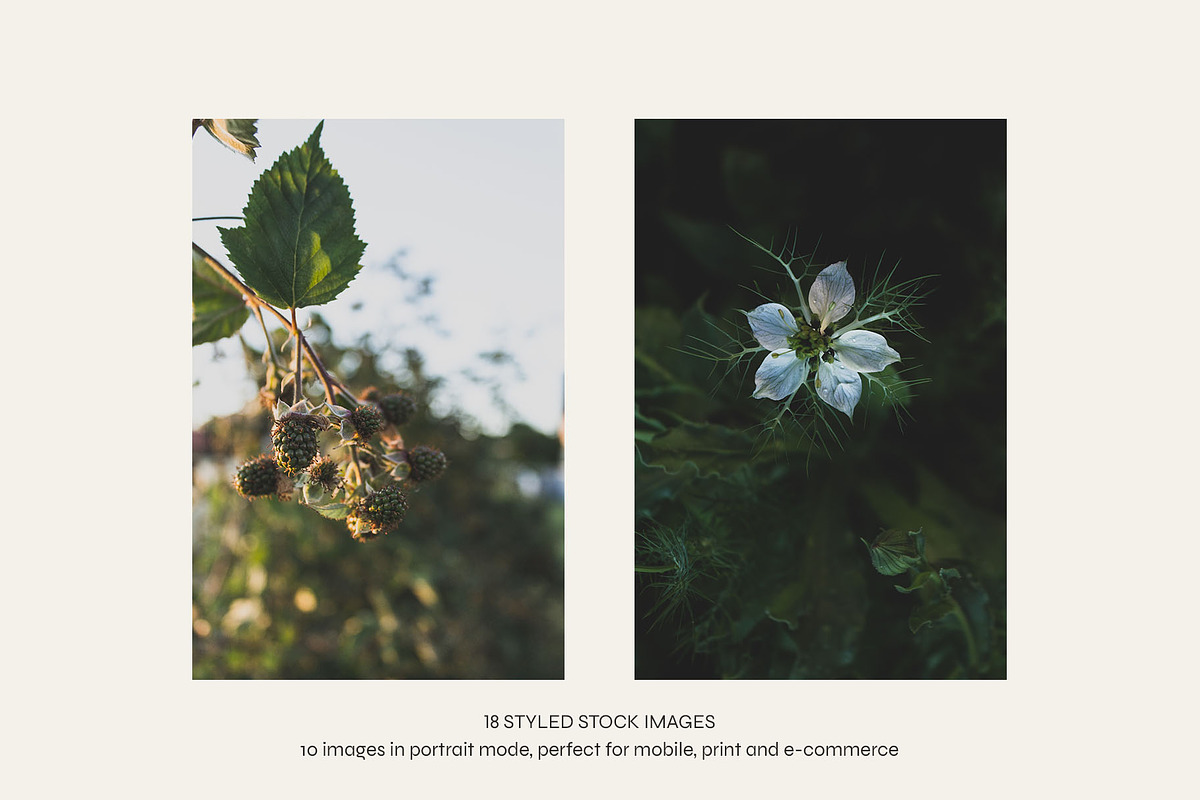Garden Sunset | Photo Bundle, a Nature Photo by The Responsible Creatives (Photo 4 of 11)