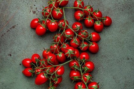 Red cherry tomatoes on branches on rustic green table, food back, a Food & Drink Photo by 5PH