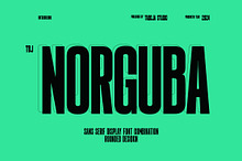 TBJ Norguba Sans Serif Display
