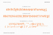 Obituary Decorative Advertisement, a Font by Creatype Studio (Thumbnail 8 of 9)