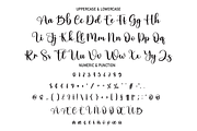 Agile | Script Font, a Script Font by Scratchones (Thumbnail 3 of 8)