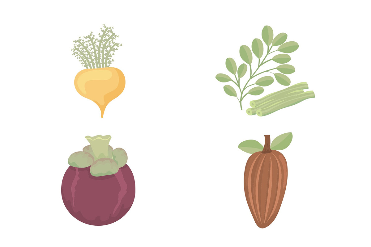 Organic Superfoods Illustration Set, a Food Illustration by studiogstock (Photo 4 of 4)