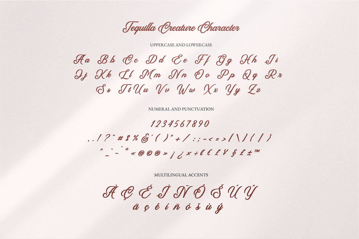 Tequilla Creature | Bold Calligraphy, a Script Font by Ariya Works (Photo 11 of 14)