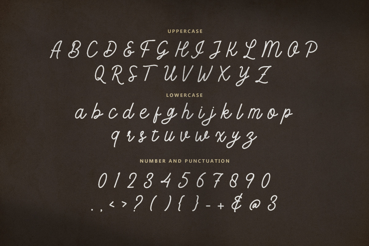 Meraline - Monoline Script, a Script Font by Bale Type (Photo 9 of 10)