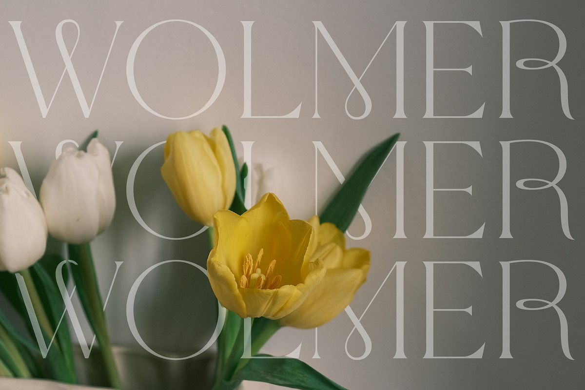 Wolmer - Modern And Elegant Serif, a Serif Font by Muflieart (Photo 5 of 10)
