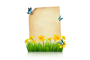 Spring Flowers And Butterflies