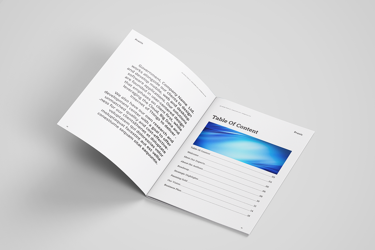 White Paper Indesign, a Brochure Template by azadcsstune (Photo 2 of 8)