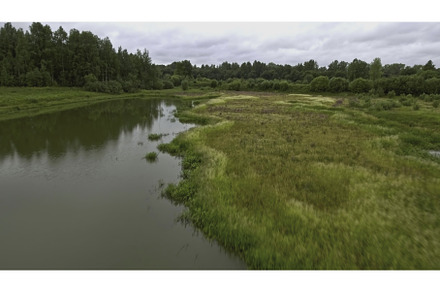 Top view of river with swamp in, a Nature Photo by Media Whale Stock