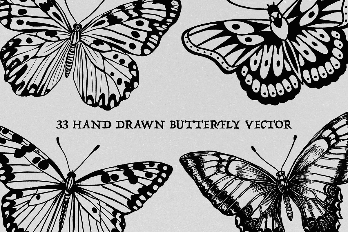 Hand Drawn Butterfly Vector, an Animal Illustration by Alternate Studio (Photo 5 of 5)