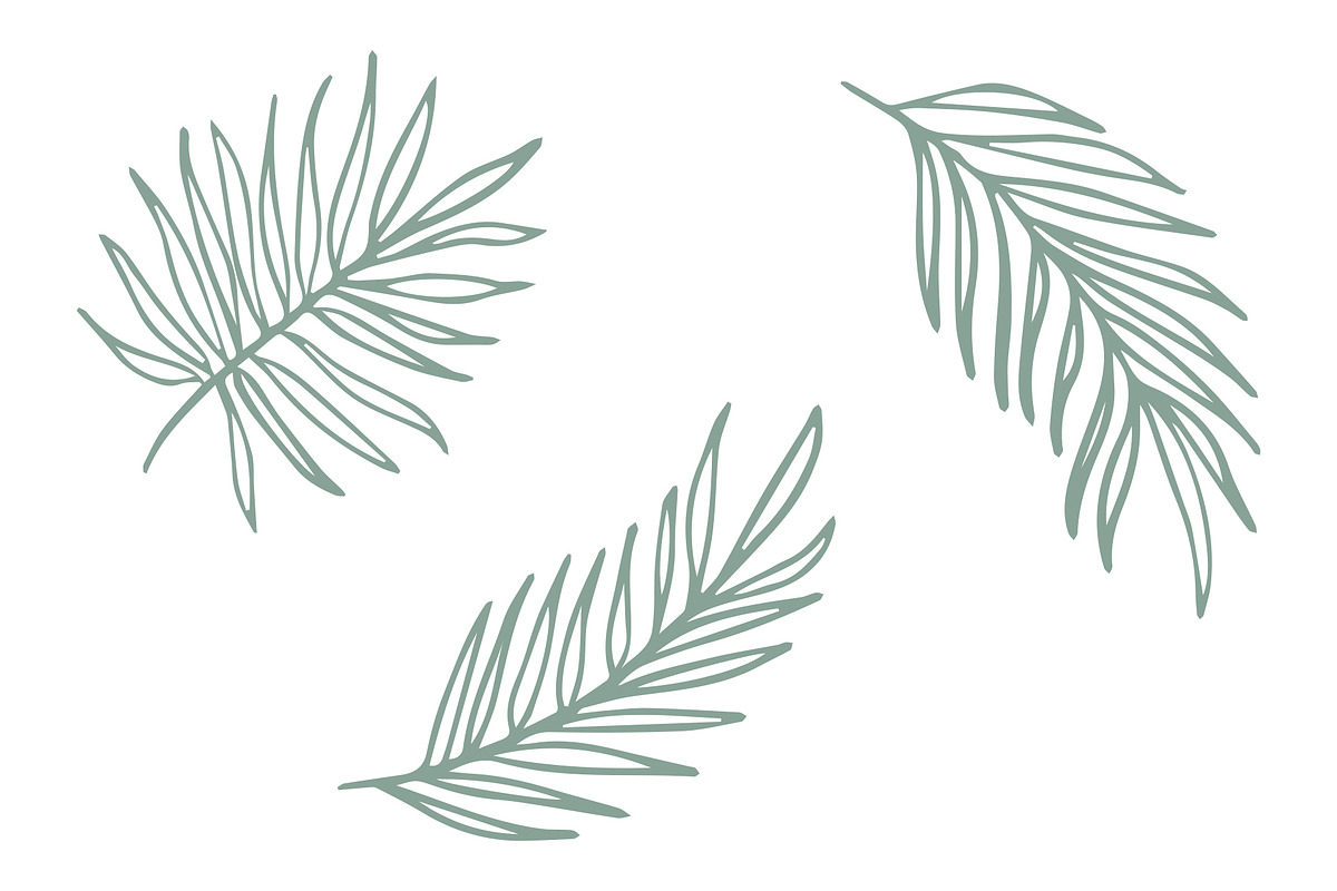 Vector Plant & Leaf Graphics, a Background Graphic by Dorey Kronick Art&Design (Photo 13 of 19)