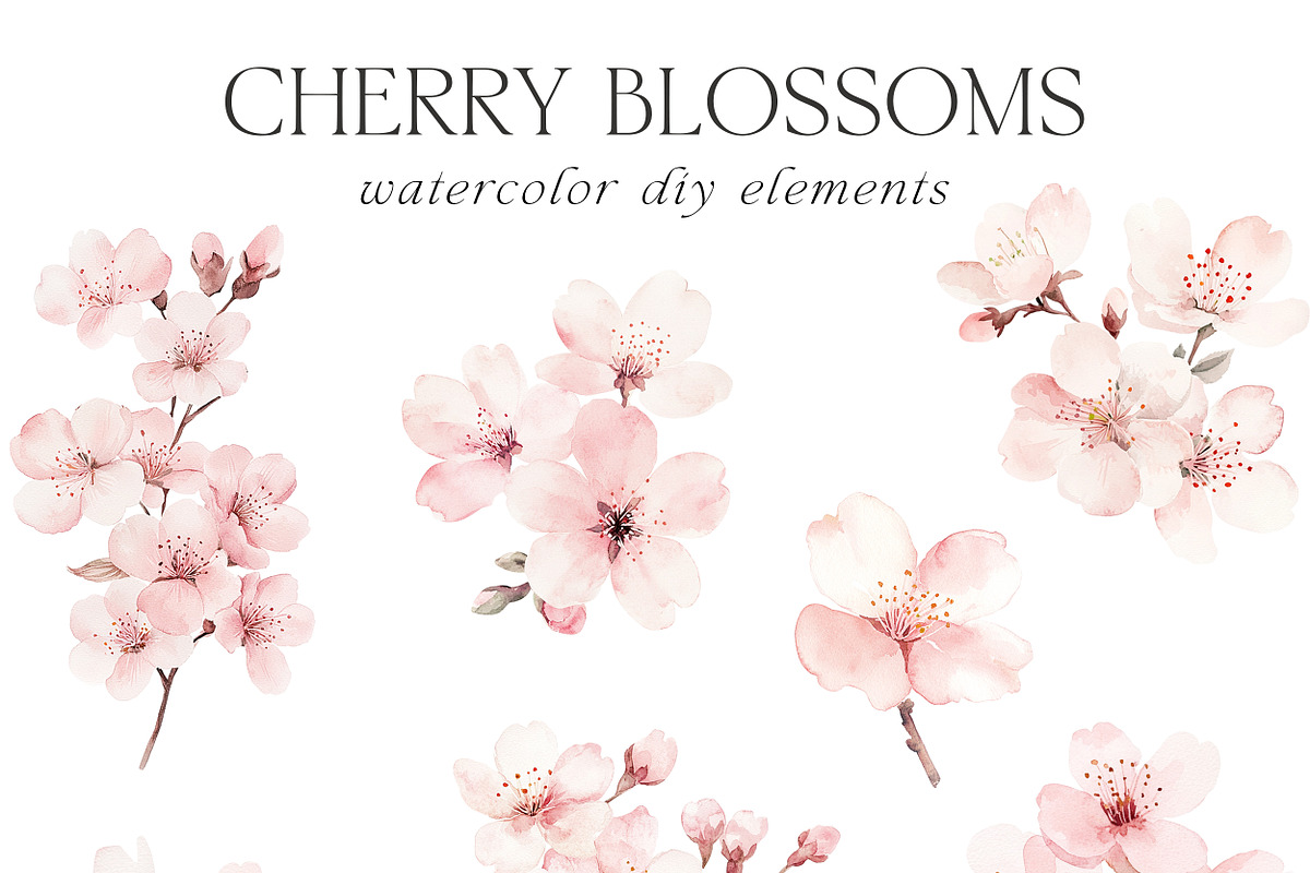 New! Spring Edition, a Seasonal Illustration by Isabelle Salem (Photo 26 of 290)