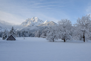Winter morning in the forest and mountains
