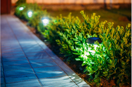 Solar Garden Light, Lanterns In, a Nature Photo by Our Amazing World