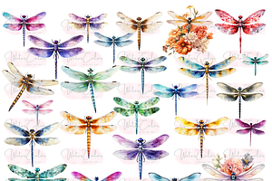 The Dragon Fly Collection Clipart