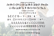 Holiday | Script Font, a Handwritten Font by Scratchones (Thumbnail 7 of 8)