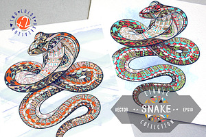 Ethnic Collection: Snake