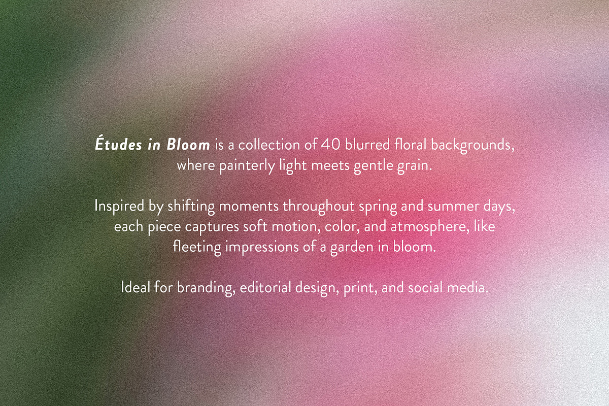 Etudes in Bloom - Blurry Backgrounds, a Background Graphic by Dina Mae (Photo 2 of 13)