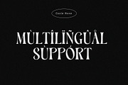 Costa Nova || display Ligature serif, a Serif Font by ToniStudio (Thumbnail 11 of 12)