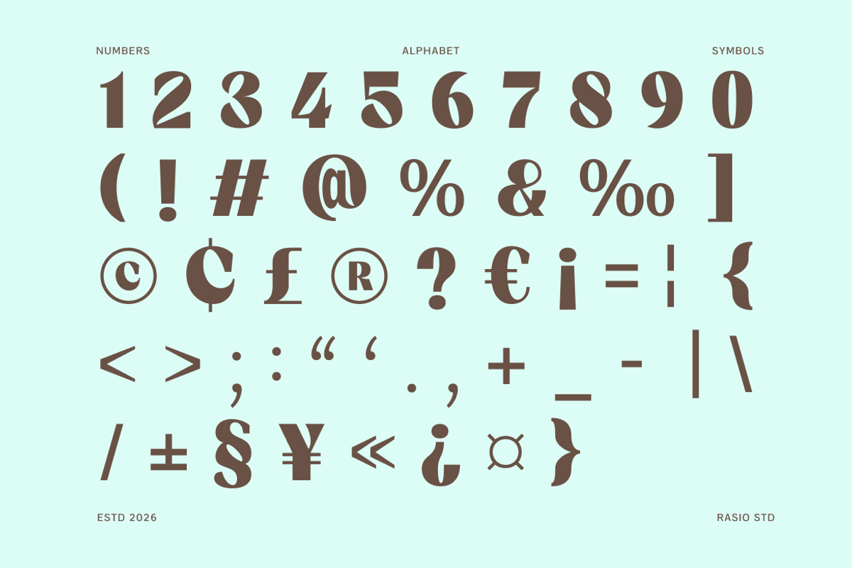 Candeur Modern Editorial Serif Font, a Serif Font by Rasio Studio (Photo 3 of 9)