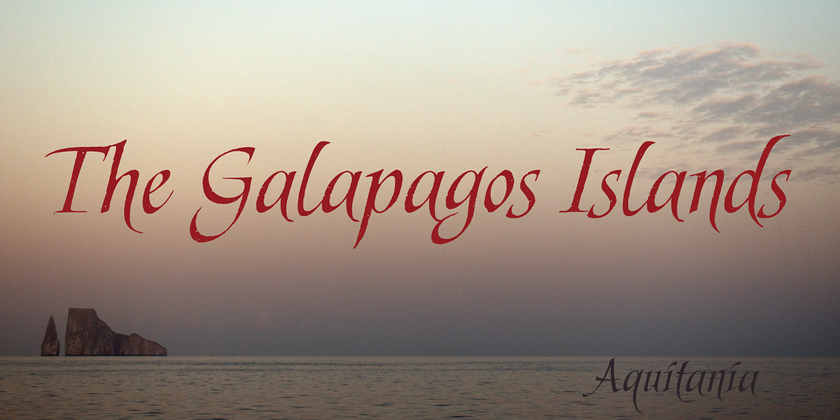 Aquitania, a Script Font by Alan Meeks Collection (Photo 3 of 5)