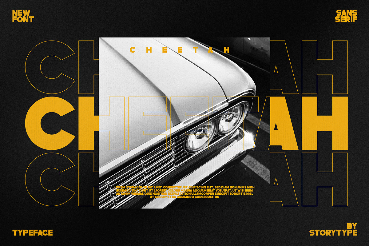 Blank Space Type Face Font, a Sans Serif Font by Storytype Studio (Photo 5 of 15)