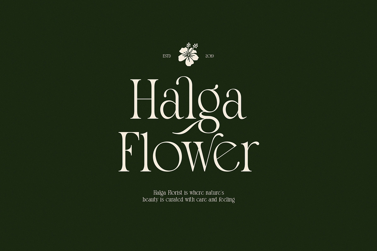 Thomy Elegant Serif Font, a Serif Font by Graphicxell (Photo 2 of 8)