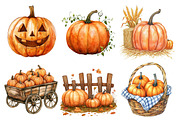 Pumpkin Patch Clipart PNG, an Illustration by SinaCreation (Thumbnail 3 of 4)