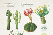 Cactus watercolor set, an Illustration by STUDIO CABINET (Thumbnail 2 of 5)