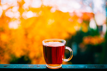 Cup of tea with autumn background, a Food & Drink Photo by Valeryia P.