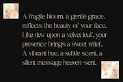 Rameena - Modern Elegant Serif, a Serif Font by Sohel Studio (Thumbnail 8 of 10)