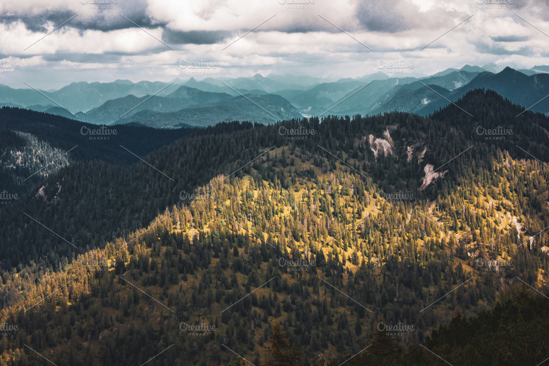 Mountain forest containing forest, nature, and mountain, a Nature Photo by Riho Rannamäe