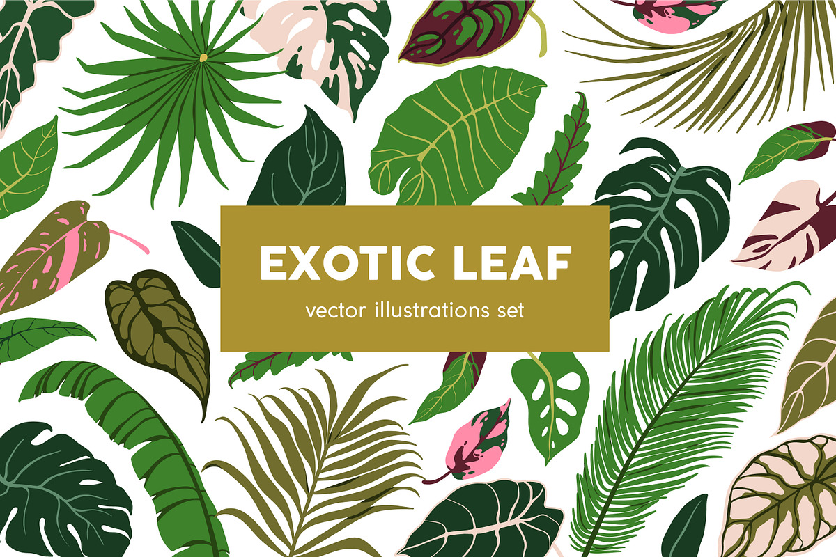 Exotic leaves. Green leaf plants set, a Decorative Illustration by Good Studio (Photo 1 of 10)