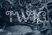 TWIG, a Font by alekseiderin (Thumbnail 1 of 4)
