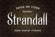 Strandall Display Typeface, a Font by Patria Ari (P4tcreativa) (Thumbnail 1 of 9)