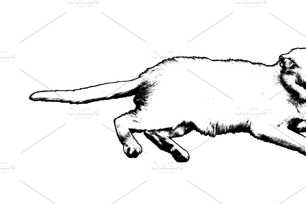 Isolated graphic of a white male cat lying, an Animal Illustration by DanFLCreativo