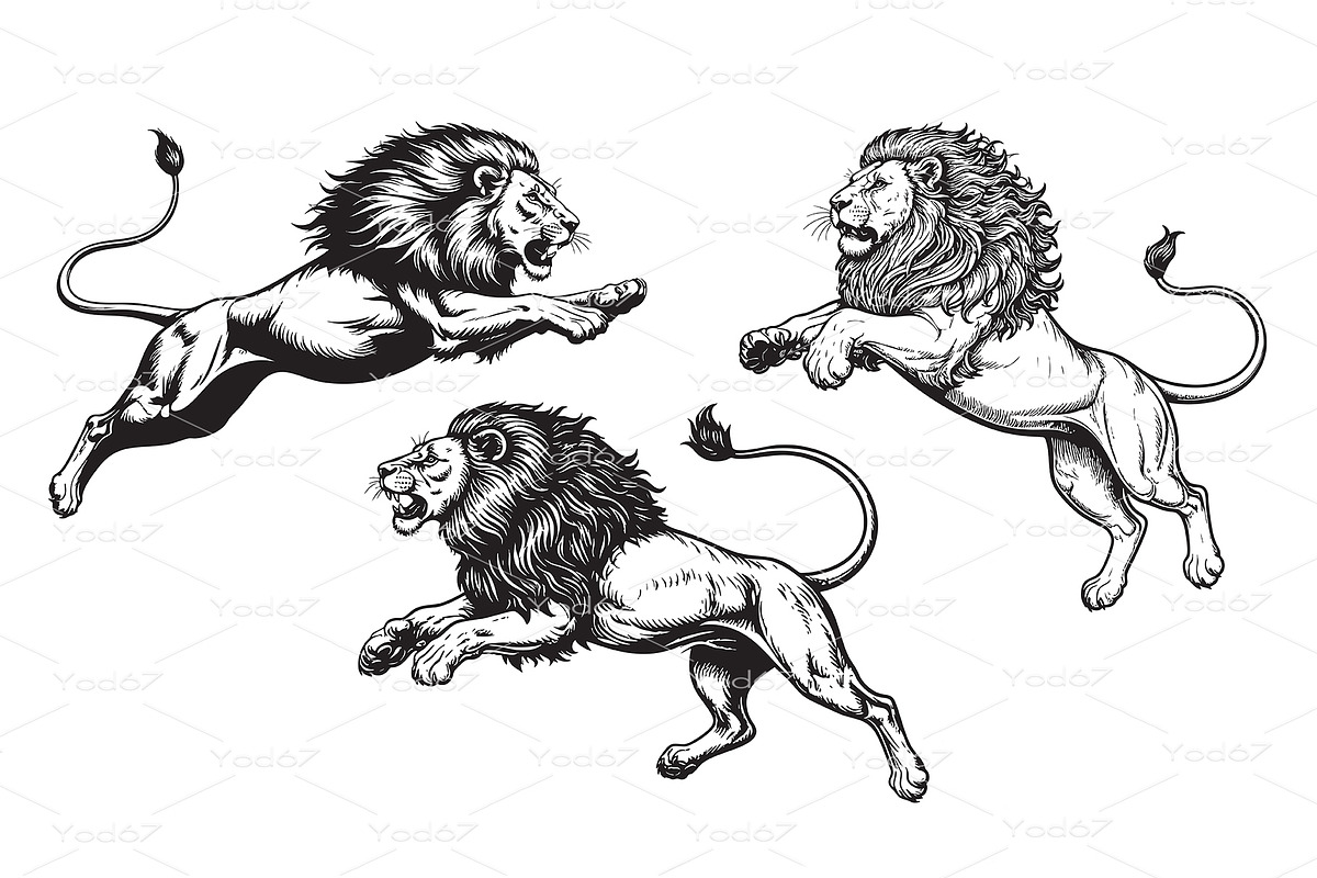 Majestic Lions captured mid-air,, an Animal Illustration by yod67