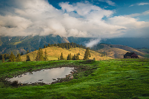 Foggy summer scenery at sunrise, a Nature Photo by Alpine Dreams