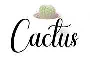 Amellia Font, a Handwritten Font by Design Station (Thumbnail 2 of 5)