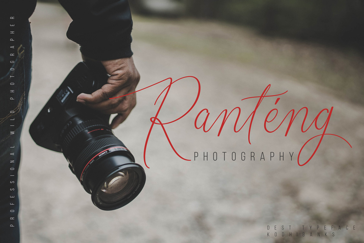 Dest Typeface, a Script Font by banks (Photo 11 of 12)