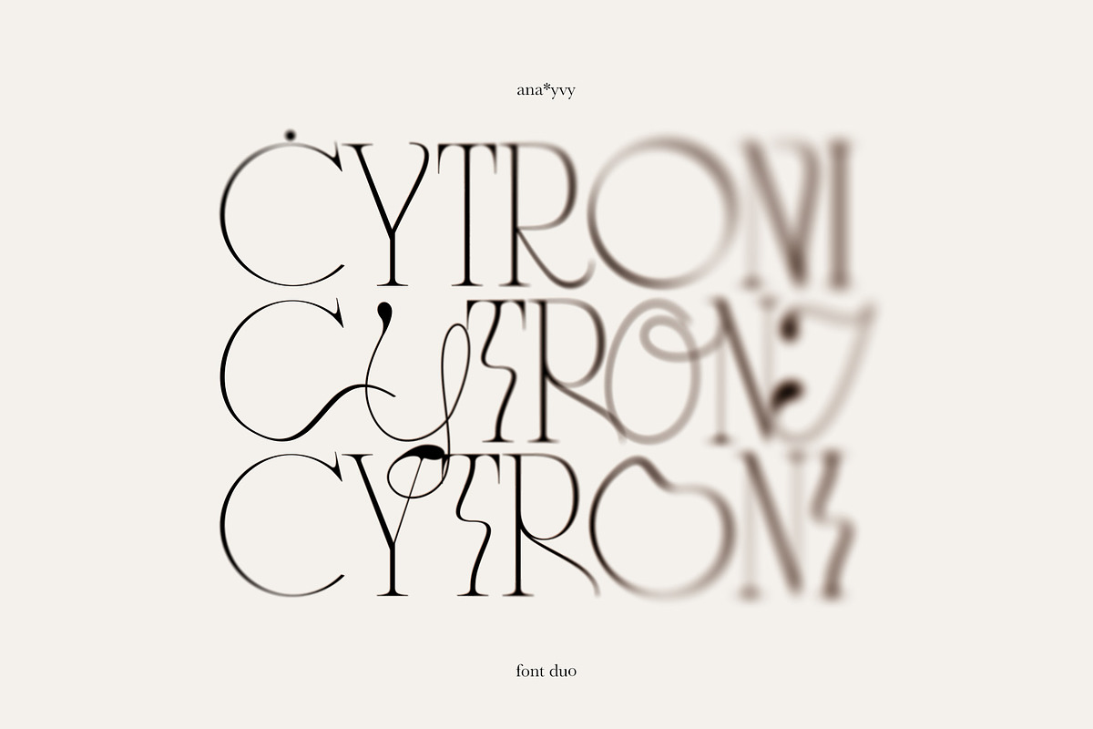 CYTRONI Modern Mix Font Duo, a Serif Font by ana & yvy (Photo 2 of 34)