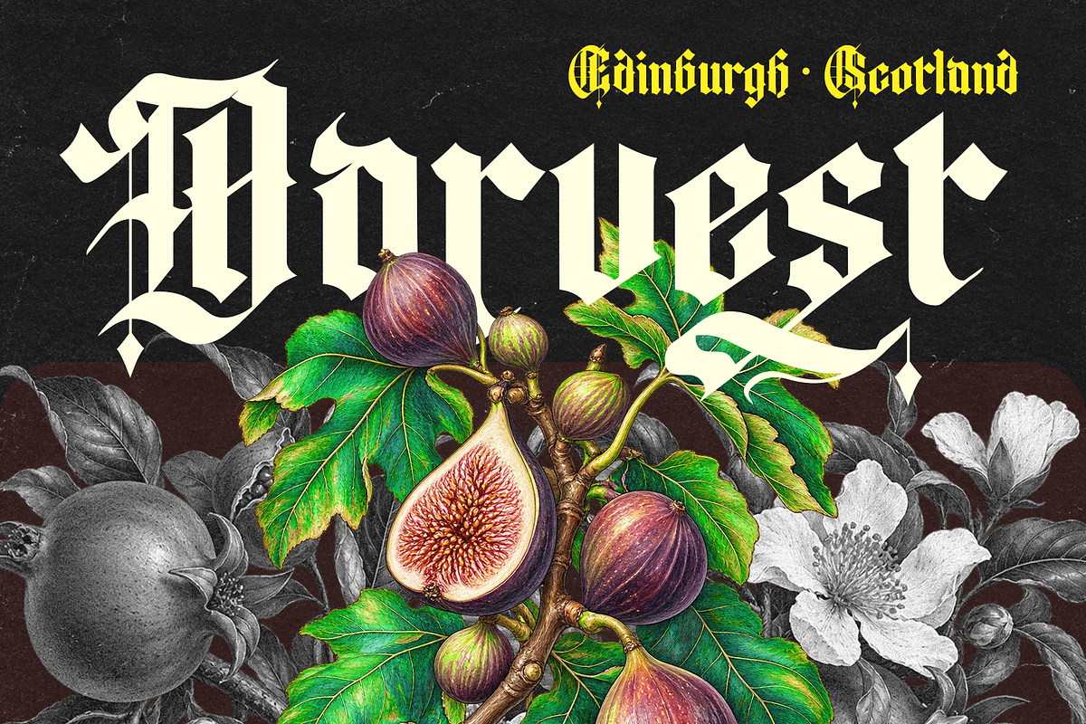 Rhavens, a Blackletter Font by Rahagita Studio (Photo 3 of 14)