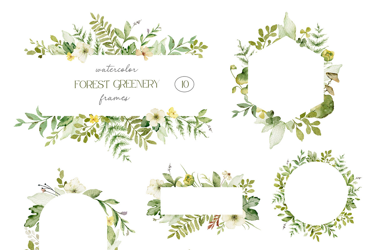 Watercolor set of Forest Greenery, an Illustration by Elena Medvedeva (Photo 6 of 15)