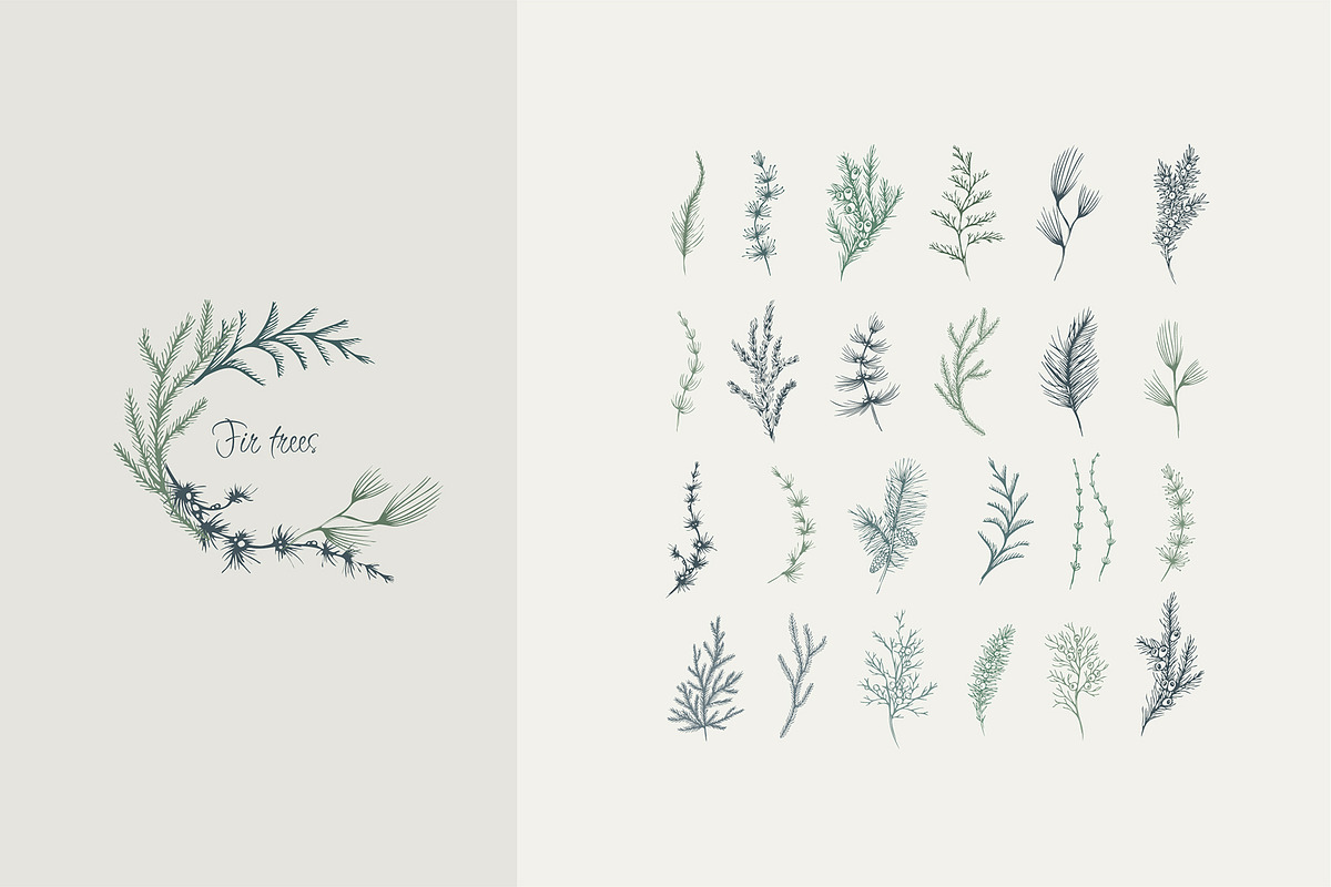 Winter Foliage collection, a Decorative Illustration by Merfin (Photo 10 of 14)