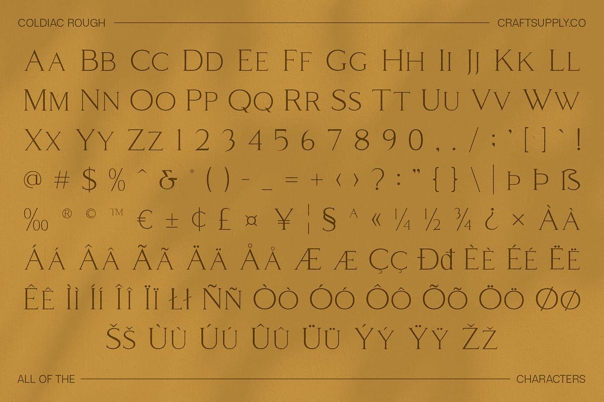 Coldiac Rough, a Serif Font by Craft Supply Co. (Photo 8 of 8)