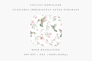 Hummingbirds Pattern, a Decorative Illustration by Pati Charm Studio (Thumbnail 2 of 7)