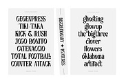 AO Katana - Display Typeface, a Serif Font by OwunStudio (Thumbnail 7 of 21)