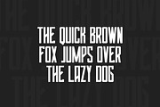 Tall Type - Sans Display Font, a Sans Serif Font by Luna Shop (Thumbnail 2 of 6)