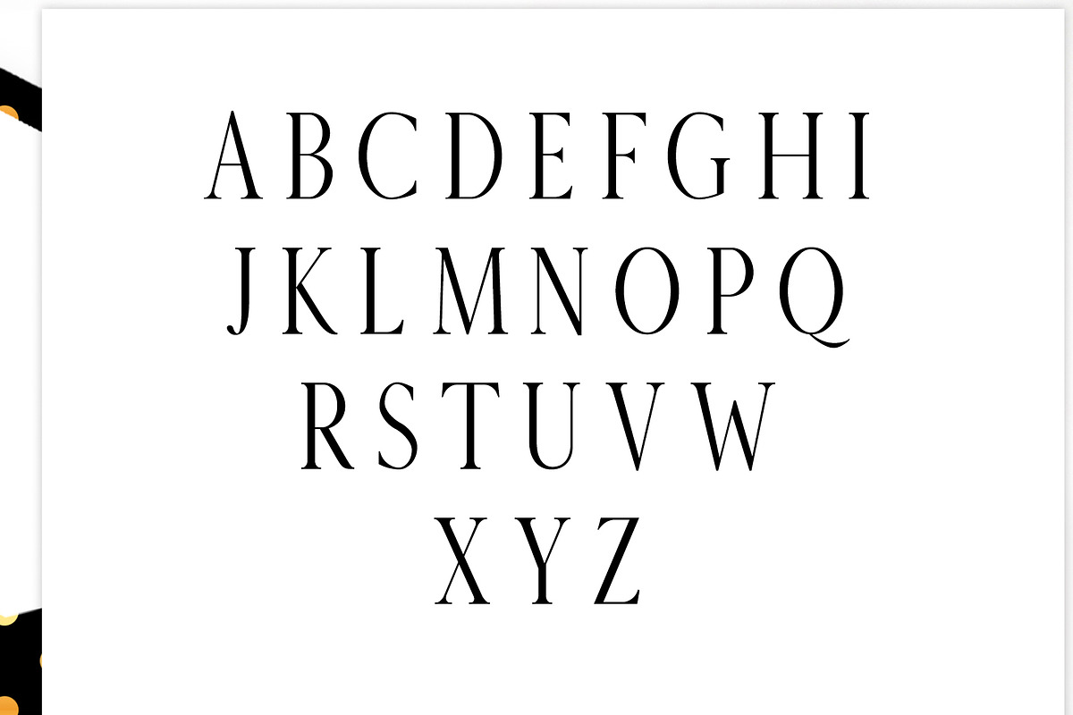 Veera Serif 4 Font Family Pack preview 2